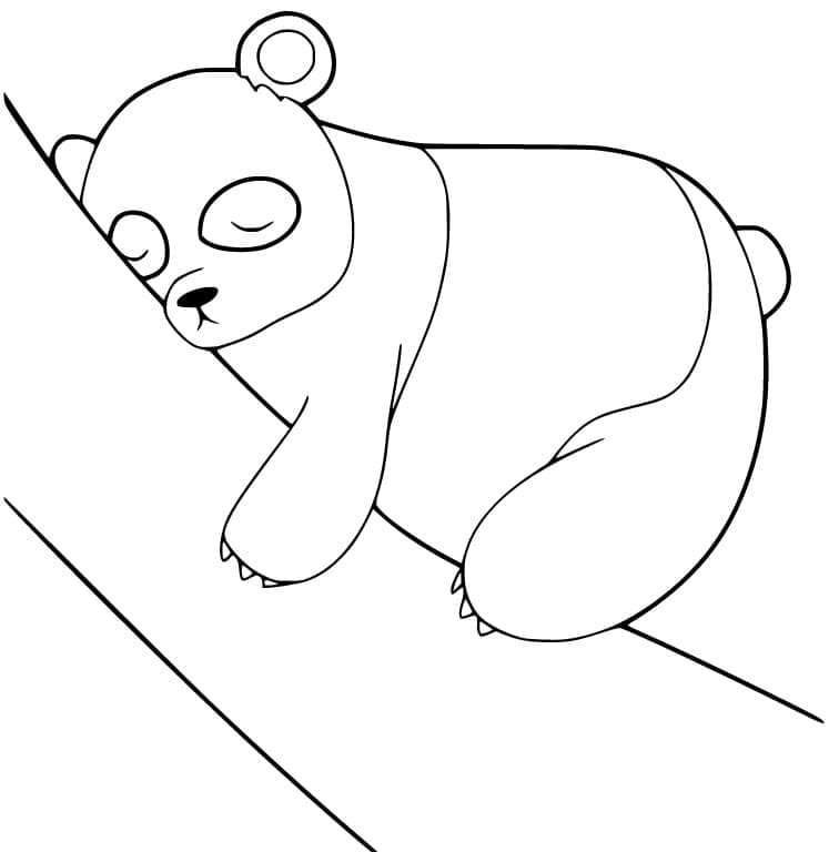 Sovende panda - farvelægning