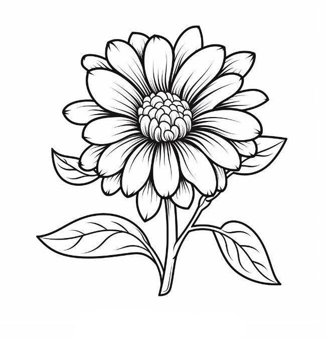 Blomster tegninger - farvelægning