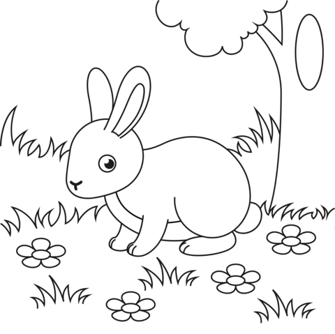 Kanin om sommeren tegning - farvelægning