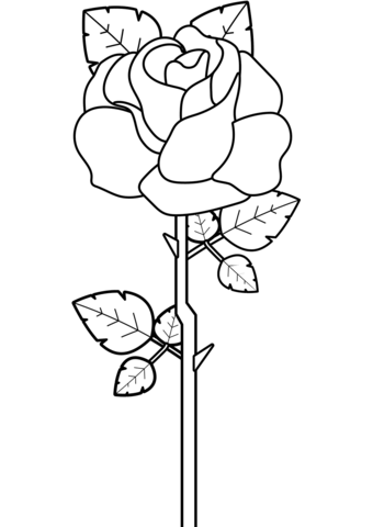 Rose med stilk tegning - farvelægning