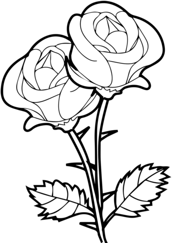 To roser tegning - farvelægning