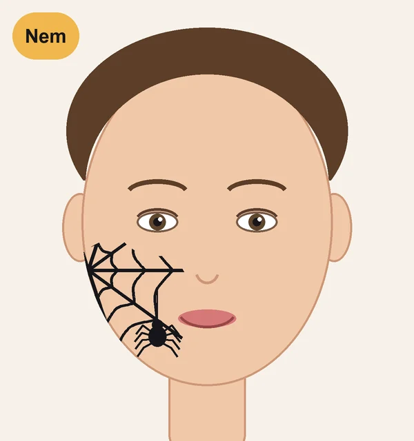 Nem Spiderman ansigtsmaling: spindelvæv og en lille edderkop på kinden